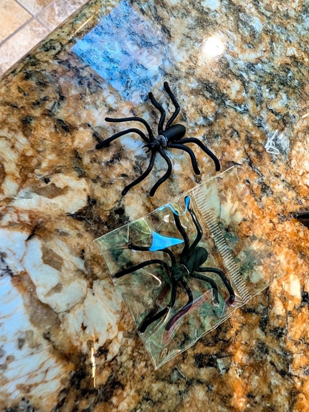 Black Spider Earrings